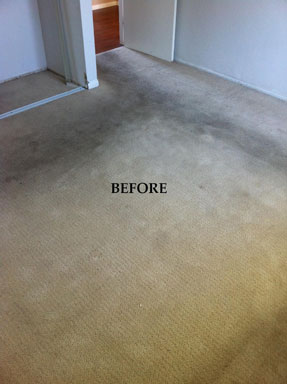 Super Steam Carpet Cleaning before and after photos